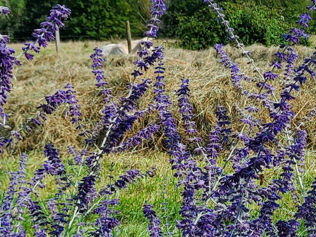 Les Tilleuls de Marie Saint-Edmond Extérieur photo